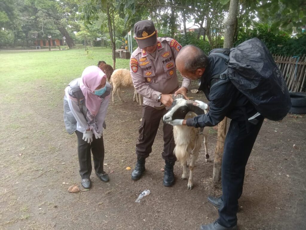 WhatsApp Image 2024 06 12 at 19.31.46