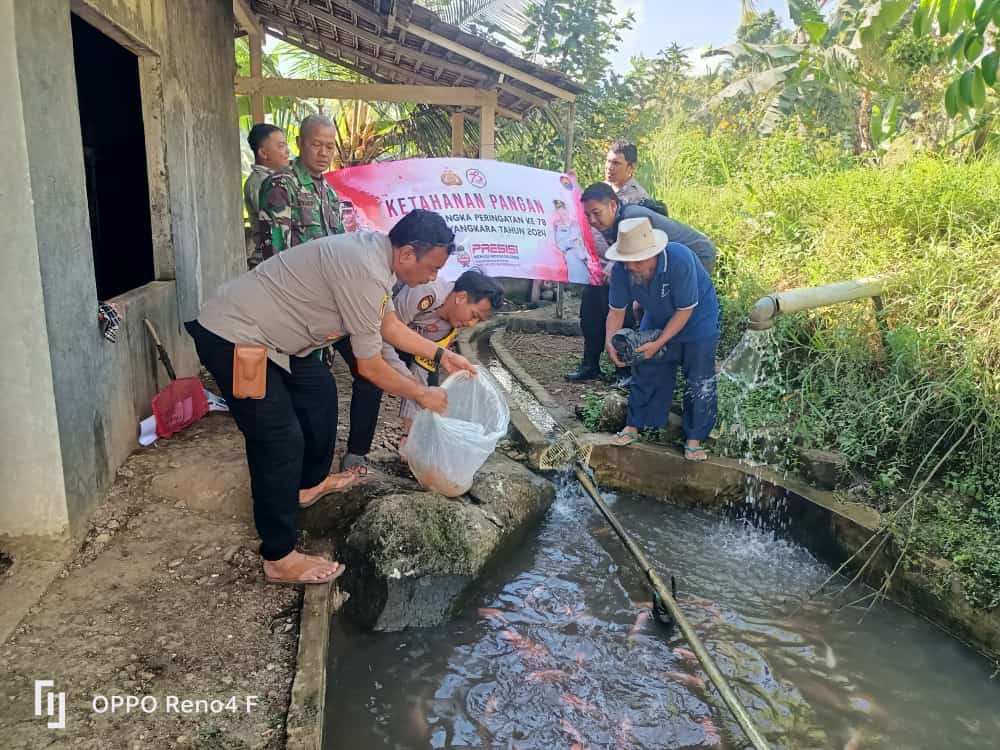 Polsek Pulosari Tebar 100 Kg Benih Ikan untuk Tingkatkan Ketahanan Pangan 2 WhatsApp Image 2024 06 27 at 01.20.32