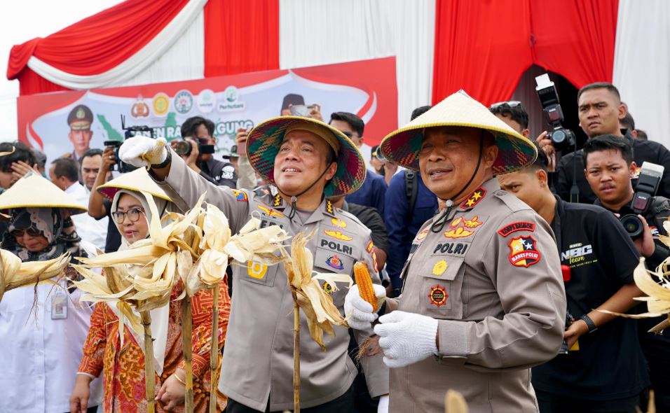 Irwasum Polri Pimpin Panen Jagung Serentak di Madiun,Wujudkan Astacita 4 uit